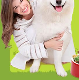 Mascota